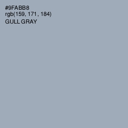 #9FABB8 - Gull Gray Color Image
